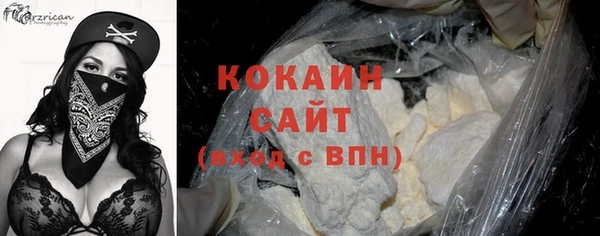 прущие грибы Горно-Алтайск