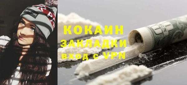 прущие грибы Горно-Алтайск