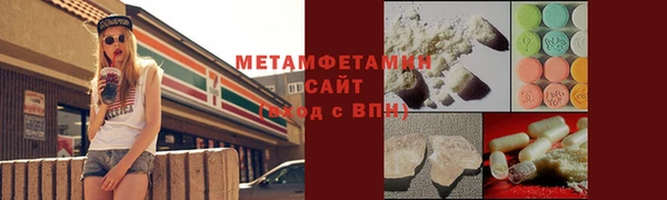прущие грибы Горно-Алтайск