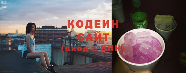 прущие грибы Горно-Алтайск