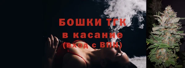 прущие грибы Горно-Алтайск