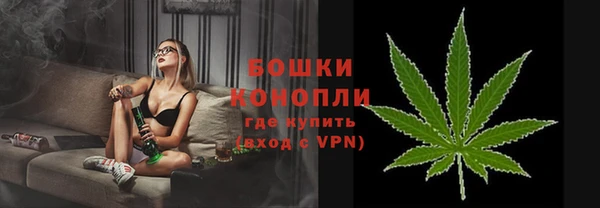 прущие грибы Горно-Алтайск