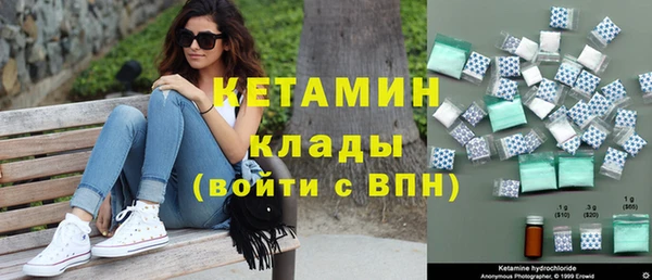 прущие грибы Горно-Алтайск