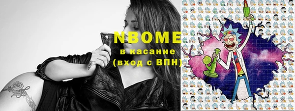 прущие грибы Горно-Алтайск
