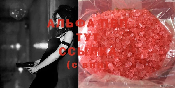 прущие грибы Горно-Алтайск