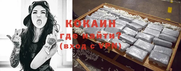 прущие грибы Горно-Алтайск