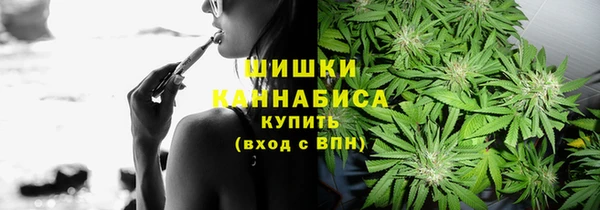 прущие грибы Горно-Алтайск